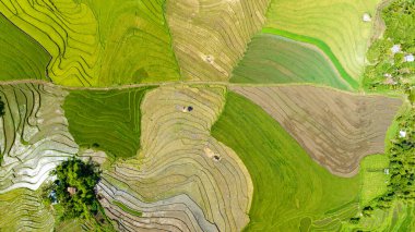 Aerial view of valley with farmland and fields of farmers. Negros, Philippines