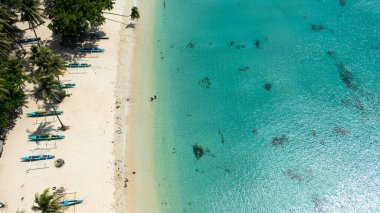 Aerial view of sandy beach with palm trees and ocean surf with waves. Pagudpud, Ilocos Norte Philippines