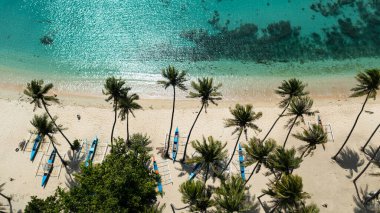Aerial view of Tropical beach with palm trees. Pagudpud, Ilocos Norte Philippines