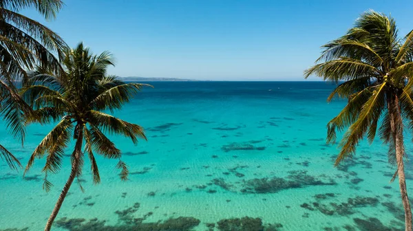 Beautiful beach, palm trees by turquoise water view from above. Pagudpud, Ilocos Norte Philippines