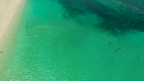 Пляж Пальмами Бирюзовыми Водами Кораллового Рифа Вид Сверху Пляж Пука — стоковое видео