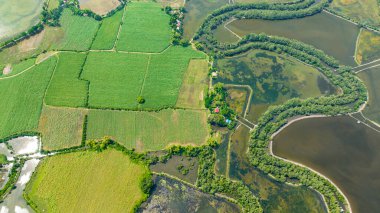 Aerial drone of flooded rice fields and farmland in the countryside. Agricultural landscape. Hinigaran River. Negros, Philippines