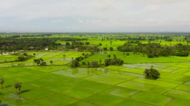 Aerial view of rice fields and agricultural land in the countryside. Sri Lanka.