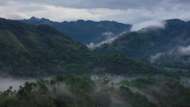 Mountains Forest Covered Clouds Fogs Dusk — Vídeos de Stock