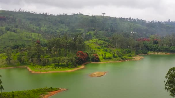 Aerial Drone Hills Tea Plantations Lake Mountains Maskeliya Castlereigh Sri — Video Stock