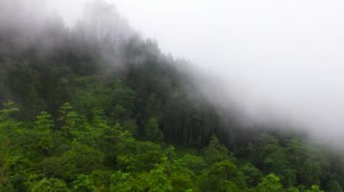 Aerial view of Tropical mountain range and mountain slopes with rainforest. Sri Lanka.