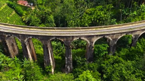 Мост Девяти Арк Высокогорье Около Эллы Шри Ланка Джунгли Чайная — стоковое видео