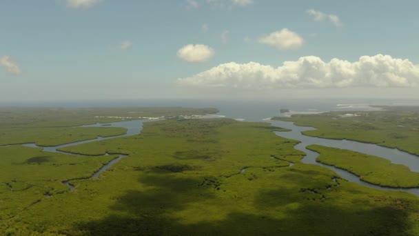 Lanskap Tropis Dengan Hutan Bakau Lahan Basah Dari Atas Pulau — Stok Video