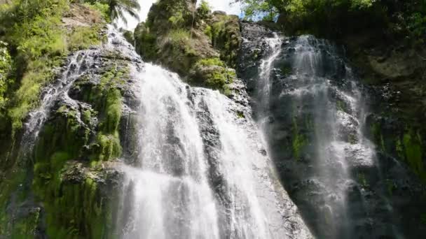 Vodopád Mezi Tropickou Džunglí Zelenými Rostlinami Zpomal Balea Falls Džungli — Stock video