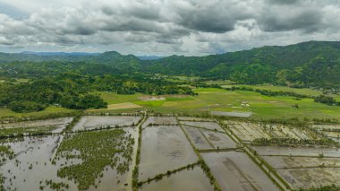 Aerial drone of farmland and rice fields among the mountains. Negros, Philippines