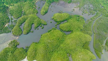 Top view of tropical islands and bays. Seascape with lagoons and cove. Sipalay, Negros, Philippines.