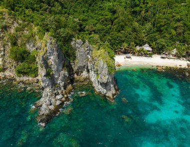 Aerial view of island with sandy beach and coral reef. Apo Island. Negros, Philippines.