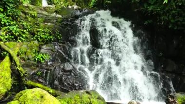 Waterfall among tropical jungle in slow motion. Malisbog Falls. Negros, Philippines.