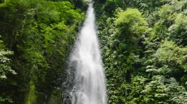 Aerial drone of waterfall in the rainforest view from above. Slow motion. Pulang-Tubig Falls Negros, Philippines.