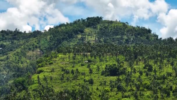 Aerial Drone Slopes Mountains Hills Green Vegetation Palm Trees Negros — Stock Video