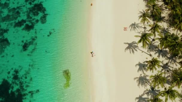 Letecká Mořská Pláň Tropická Pláž Palmami Tyrkysovými Vodami Korálového Útesu — Stock video