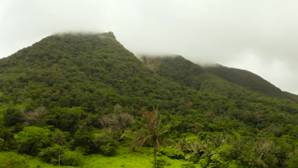 Góry Lasem Deszczowym Drzewa Pochmurną Pogodę Dron Powietrzny Camiguin Filipiny — Wideo stockowe