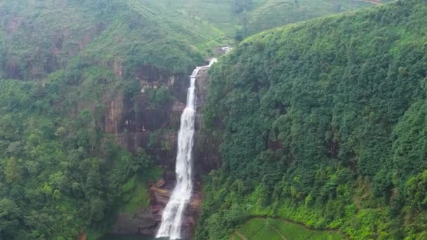 茶园之间的瀑布 加泰莫瀑布 Maskeliya 斯里兰卡 — 图库视频影像