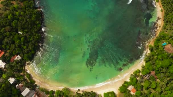 Aerial View Tropical Sandy Beach Blue Sea Hiriketiya Sri Lanka — Stok video
