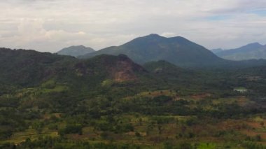 Aerial view of Farming land in the countryside among the rainforest and jungle. Sri Lanka.