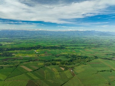 Aerial drone of sugarcane plantations and agricultural land in the countryside. Negros, Philippines