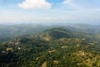 Aerial view of Mountains with rainforest and clouds. Sri Lanka. Slopes of mountains with evergreen vegetation.