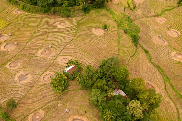 stock image Aerial view of Agricultural lands and rice fields in a mountain valley. Agricultural landscape. Sri Lanka.