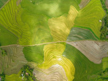 Top view of farmland with rice terraces in the countryside. Negros, Philippines.