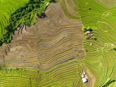 Top view of houses of farmers among rice fields and farmlands. Negros, Philippines.