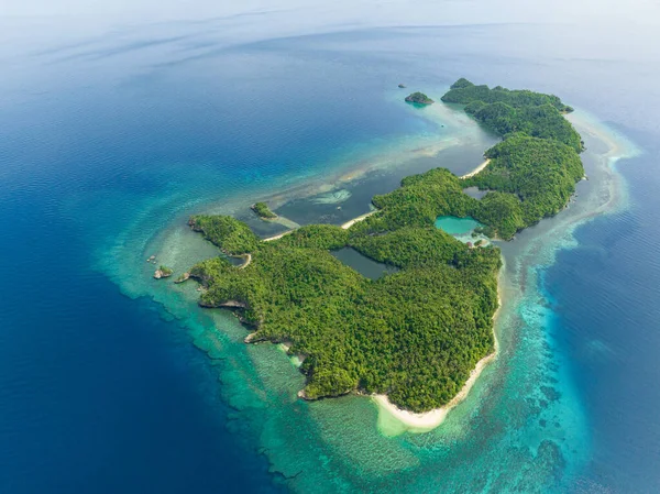 Mavi denizdeki kumlu tropik adanın havadan görünüşü. Danjugan Adaları, Filipinler.