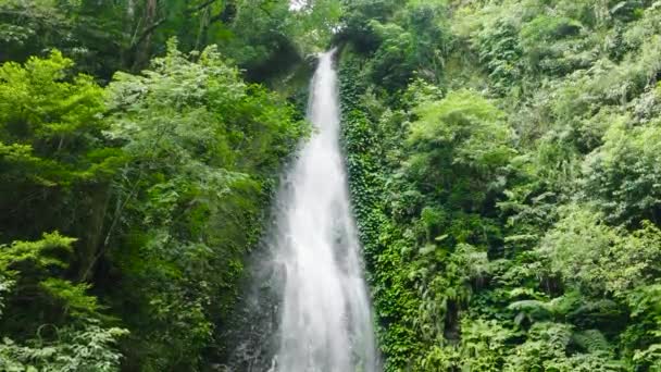 Pulang Tubig Şelalesi Bir Dağ Geçidinde Yavaş Çekimde Tropikal Ormanda — Stok video