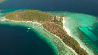 Kumsalı, palmiye ağaçları ve berrak mavi suyu olan hava aracı adası. Malcapuya, Filipinler, Palawan. Mavi lagün ve mercan resifli tropik bir manzara.