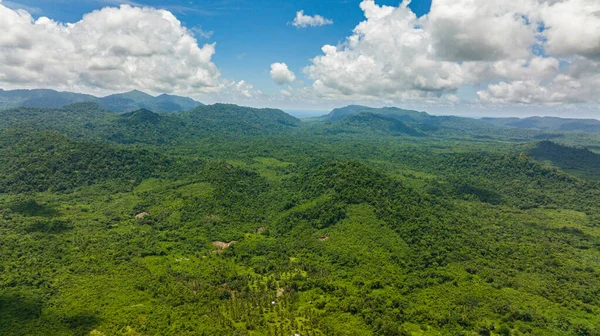Montañas Con Selva Tropical Selva Provincia Montañosa Balabac Palawan Filipinas —  Fotos de Stock