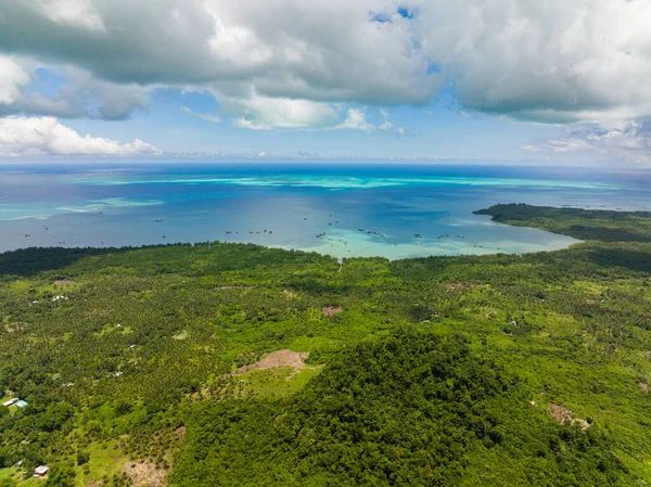 Floresta Tropical Selva Costa Uma Ilha Tropical Balabac Palawan Filipinas — Fotografia de Stock