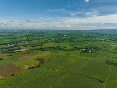 Şeker kamışı ve tarımsal bitkilerle dolu tarım arazilerinin havadan görünüşü. Zenciler, Filipinler