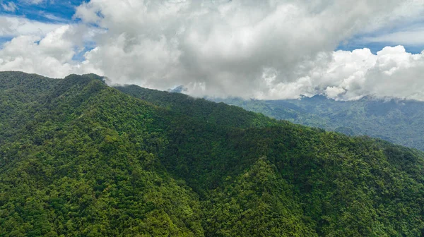 Vista Aérea Cordillera Tropical Laderas Montañosas Con Selva Tropical Filipinas — Foto de Stock