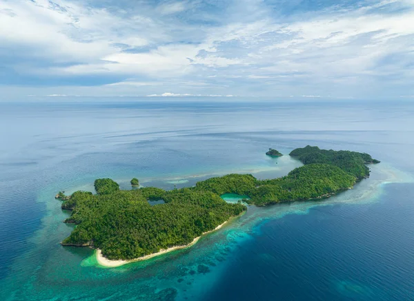 stock image Tropical island in the blue sea with sandy beach. Danjugan islands, Philippines.