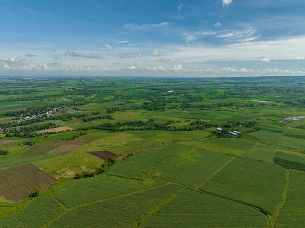 Şeker kamışı ve tarımsal bitkilerle dolu tarım arazilerinin havadan görünüşü. Zenciler, Filipinler
