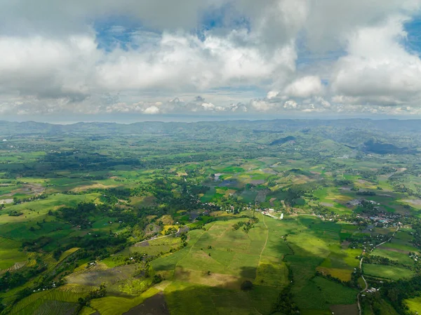 Dron Aéreo Plantaciones Arroz Tierras Cultivo Agricultores Valle Montaña Negros — Foto de Stock