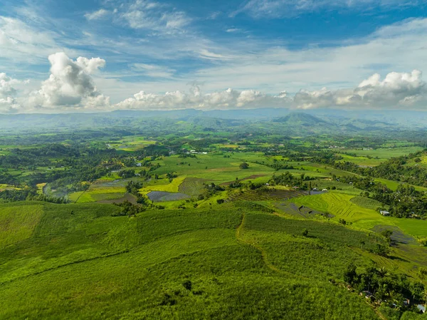 Plantaciones Arroz Tierras Cultivo Agricultores Valle Montaña Negros Filipinas — Foto de Stock
