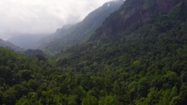 Dağ yamaçlarının tepesi yağmur ormanları ve ormanlarla kaplı. Sri Lanka. Dağlık bölgedeki vadi manzarası.