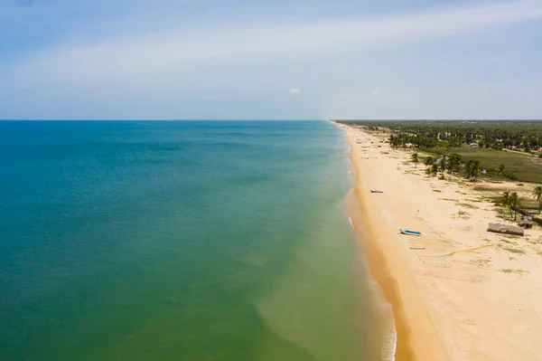 stock image Top view of Beautiful sandy beach with palm trees and sea surf with waves. Sri Lanka.