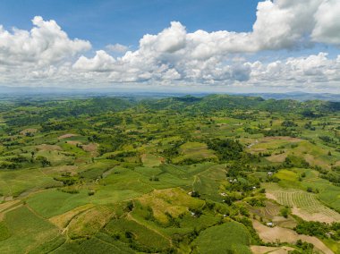 Tepelerin yamaçlarındaki şeker kamışı ve tarım arazilerinin havadan görünüşü. Zenciler, Filipinler