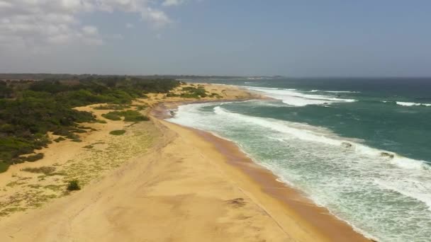 Top View Beautiful Sandy Beach Ocean Waves Peanut Farm Beach — Wideo stockowe