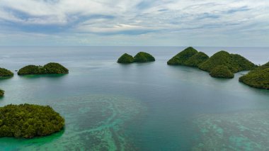 Gölün turkuaz sularındaki adalar. Tropik bölgelerde deniz manzarası. Sipalay, Zenciler, Filipinler.