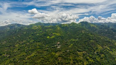 Yeşil tropikal bitki örtüsü olan bir dağ silindiri. Zenciler, Filipinler
