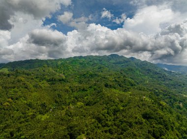 Mountains and hills with green vegetation and trees in the tropics. Negros, Philippines