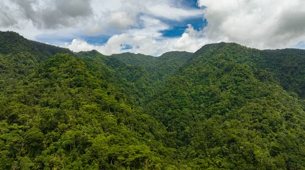 Aerial Drone Mountain Range Mountain Slopes Rainforest Philippines Negros Island — Foto de Stock