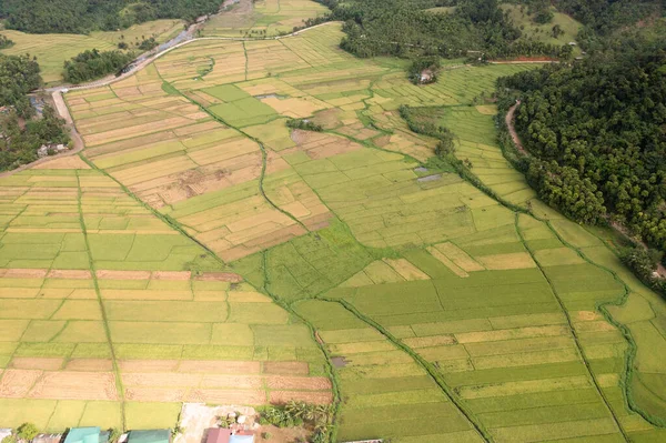 Αγροτικό Τοπίο Φυτείες Ρυζιού Και Γεωργικές Εκτάσεις Φιλιππίνες — Φωτογραφία Αρχείου