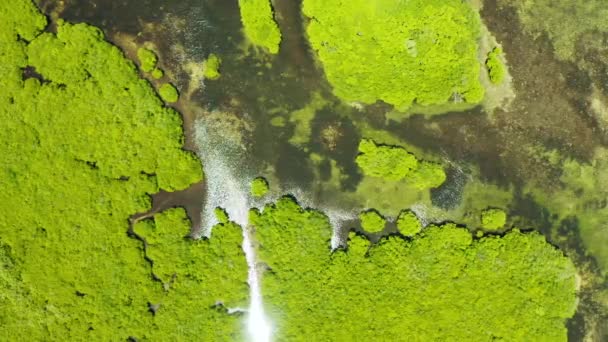 Повітряний Панорамний Вид Мангрових Лісів Острові Сіаргао Філіппіни Ландшафт — стокове відео